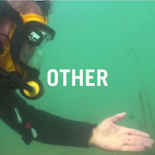 Other Underwater Cameras